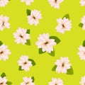 Spring cherry blossoms.ÃÂ Seamless pattern with JapaneseÃÂ sakura. Pink flowers on yellow background. RomanticÃÂ Vector illustration. Royalty Free Stock Photo